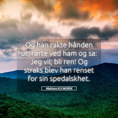 Picture 05 - Matteus 8:3 NORSK - Og han rakte hånden ut, rørte ved ham og sa: - Bible Verse Picture