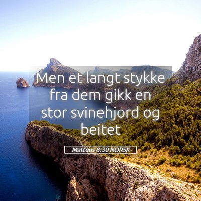 Picture 05 - Matteus 8:30 NORSK - Men et langt stykke fra dem gikk en stor - Bible Verse Picture