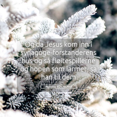 Picture 05 - Matteus 9:23 NORSK - Og da Jesus kom inn i synagoge-forstanderens hus - Bible Verse Picture