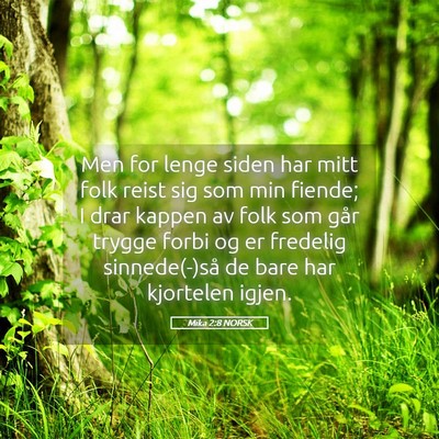Picture 05 - Mika 2:8 NORSK - Men for lenge siden har mitt folk reist sig som - Bible Verse Picture