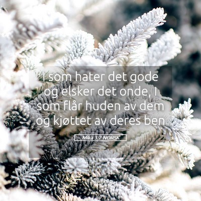 Picture 05 - Mika 3:2 NORSK - I som hater det gode og elsker det onde, I som - Bible Verse Picture