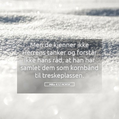 Picture 05 - Mika 4:12 NORSK - Men de kjenner ikke Herrens tanker og forstår - Bible Verse Picture