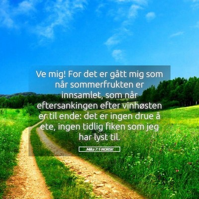 Picture 05 - Mika 7:1 NORSK - Ve mig! For det er gått mig som når - Bible Verse Picture