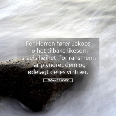 Picture 05 - Nahum 2:2 NORSK - For Herren fører Jakobs høihet tilbake likesom - Bible Verse Picture