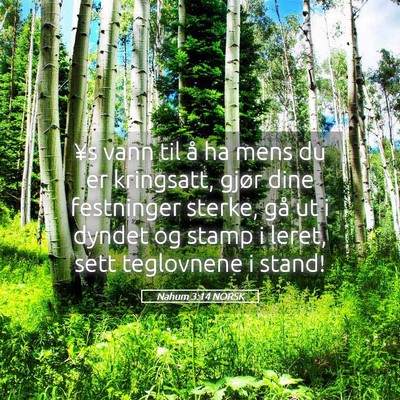 Picture 05 - Nahum 3:14 NORSK - ¥s vann til å ha mens du er kringsatt, gjør - Bible Verse Picture