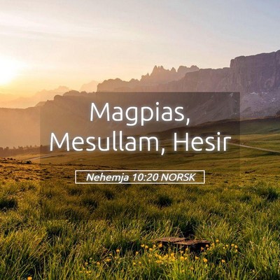 Picture 05 - Nehemja 10:20 NORSK - Magpias, Mesullam, - Bible Verse Picture