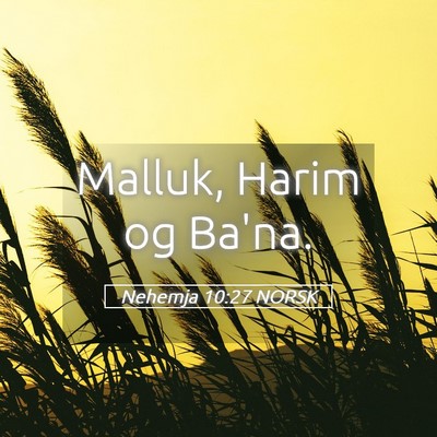 Picture 05 - Nehemja 10:27 NORSK - Malluk, Harim og - Bible Verse Picture