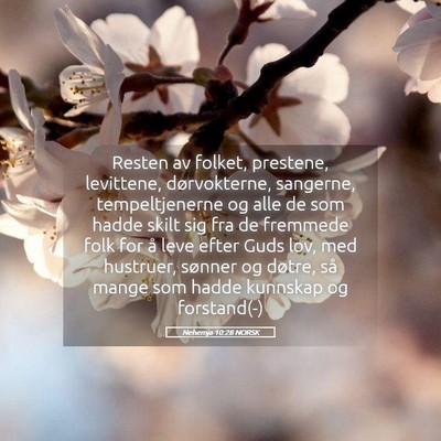 Picture 05 - Nehemja 10:28 NORSK - Resten av folket, prestene, levittene, - Bible Verse Picture