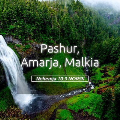 Picture 05 - Nehemja 10:3 NORSK - Pashur, Amarja, - Bible Verse Picture