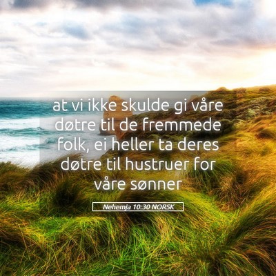 Picture 05 - Nehemja 10:30 NORSK - at vi ikke skulde gi våre døtre til de fremmede - Bible Verse Picture