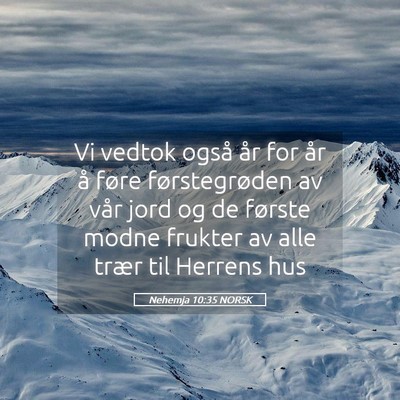 Picture 05 - Nehemja 10:35 NORSK - Vi vedtok også år for år å føre - Bible Verse Picture