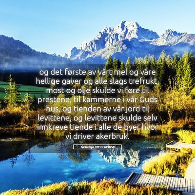 Picture 05 - Nehemja 10:37 NORSK - og det første av vårt mel og våre hellige - Bible Verse Picture
