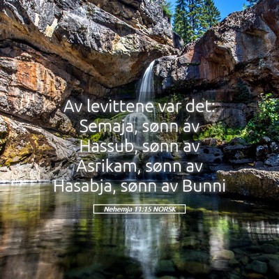 Picture 05 - Nehemja 11:15 NORSK - Av levittene var det: Semaja, sønn av Hassub, - Bible Verse Picture
