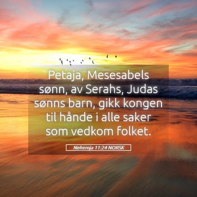 Picture 05 - Nehemja 11:24 NORSK - Petaja, Mesesabels sønn, av Serahs, Judas sønns - Bible Verse Picture