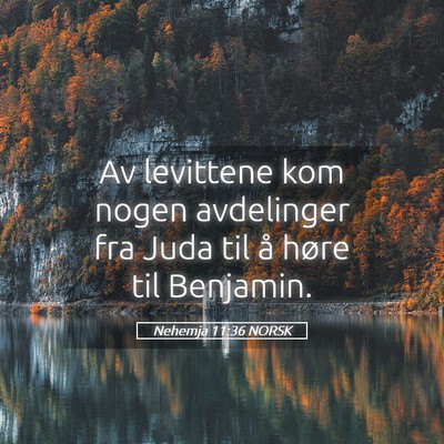 Picture 05 - Nehemja 11:36 NORSK - Av levittene kom nogen avdelinger fra Juda til å - Bible Verse Picture