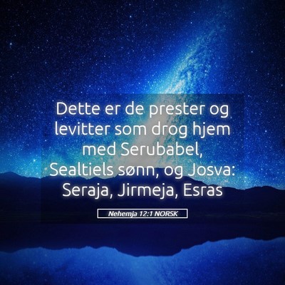 Picture 05 - Nehemja 12:1 NORSK - Dette er de prester og levitter som drog hjem med - Bible Verse Picture