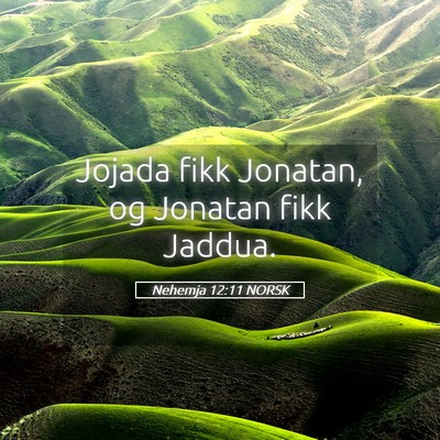 Picture 05 - Nehemja 12:11 NORSK - Jojada fikk Jonatan, og Jonatan fikk - Bible Verse Picture