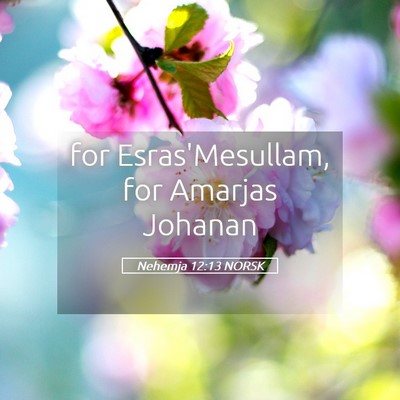 Picture 05 - Nehemja 12:13 NORSK - for Esras'Mesullam, for Amarjas - Bible Verse Picture