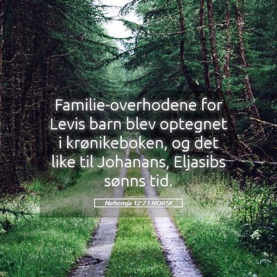 Picture 05 - Nehemja 12:23 NORSK - Familie-overhodene for Levis barn blev optegnet i - Bible Verse Picture