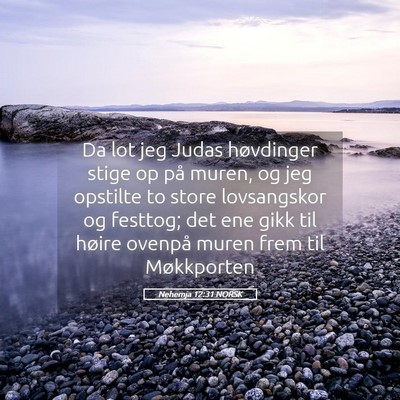 Picture 05 - Nehemja 12:31 NORSK - Da lot jeg Judas høvdinger stige op på muren, - Bible Verse Picture