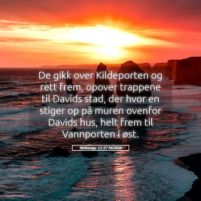 Picture 05 - Nehemja 12:37 NORSK - De gikk over Kildeporten og rett frem, opover - Bible Verse Picture