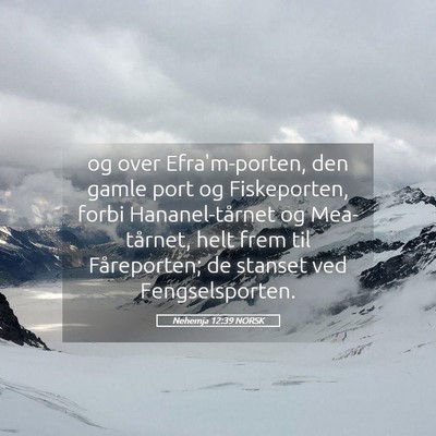 Picture 05 - Nehemja 12:39 NORSK - og over Efra'm-porten, den gamle port og - Bible Verse Picture