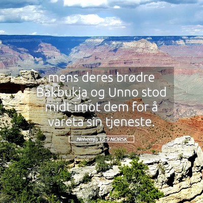 Picture 05 - Nehemja 12:9 NORSK - mens deres brødre Bakbukja og Unno stod midt - Bible Verse Picture