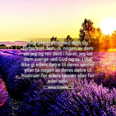 Picture 05 - Nehemja 13:25 NORSK - Jeg gikk i rette med dem og forbannet dem, ja, - Bible Verse Picture