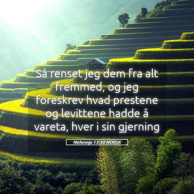 Picture 05 - Nehemja 13:30 NORSK - Så renset jeg dem fra alt fremmed, og jeg - Bible Verse Picture