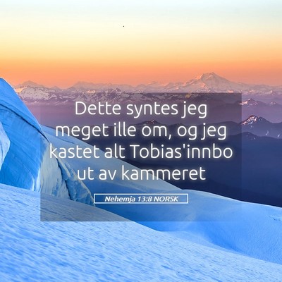 Picture 05 - Nehemja 13:8 NORSK - Dette syntes jeg meget ille om, og jeg kastet alt - Bible Verse Picture