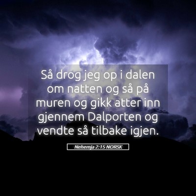 Picture 05 - Nehemja 2:15 NORSK - Så drog jeg op i dalen om natten og så på - Bible Verse Picture