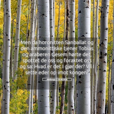 Picture 05 - Nehemja 2:19 NORSK - Men da horonitten Sanballat og den ammonittiske - Bible Verse Picture