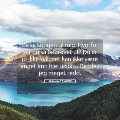 Picture 05 - Nehemja 2:2 NORSK - Da sa kongen til mig: Hvorfor ser du så - Bible Verse Picture