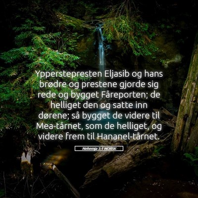 Picture 05 - Nehemja 3:1 NORSK - Ypperstepresten Eljasib og hans brødre og - Bible Verse Picture
