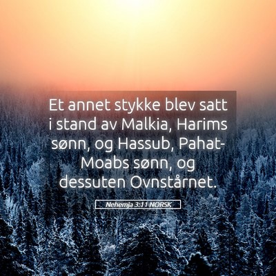 Picture 05 - Nehemja 3:11 NORSK - Et annet stykke blev satt i stand av Malkia, - Bible Verse Picture
