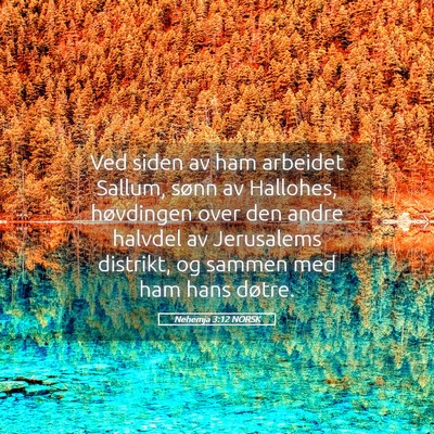 Picture 05 - Nehemja 3:12 NORSK - Ved siden av ham arbeidet Sallum, sønn av - Bible Verse Picture