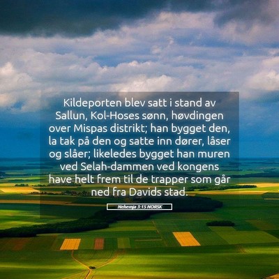 Picture 05 - Nehemja 3:15 NORSK - Kildeporten blev satt i stand av Sallun, - Bible Verse Picture