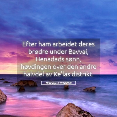 Picture 05 - Nehemja 3:18 NORSK - Efter ham arbeidet deres brødre under Bavvai, - Bible Verse Picture
