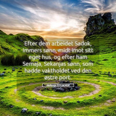 Picture 05 - Nehemja 3:29 NORSK - Efter dem arbeidet Sadok, Immers sønn, midt imot - Bible Verse Picture