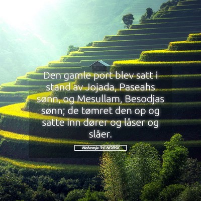 Picture 05 - Nehemja 3:6 NORSK - Den gamle port blev satt i stand av Jojada, - Bible Verse Picture