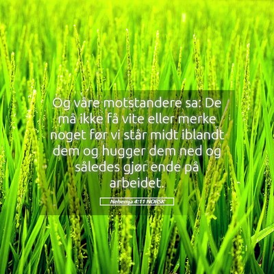 Picture 05 - Nehemja 4:11 NORSK - Og våre motstandere sa: De må ikke få vite - Bible Verse Picture