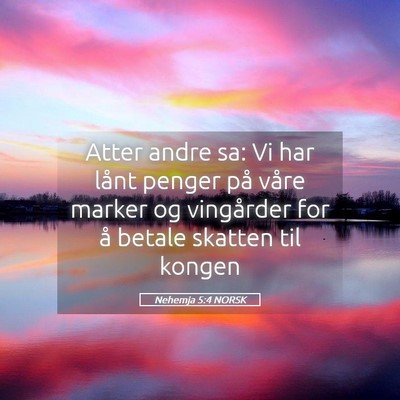 Picture 05 - Nehemja 5:4 NORSK - Atter andre sa: Vi har lånt penger på våre - Bible Verse Picture