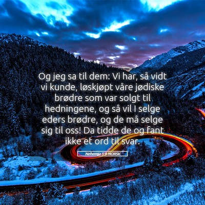 Picture 05 - Nehemja 5:8 NORSK - Og jeg sa til dem: Vi har, så vidt vi kunde, - Bible Verse Picture