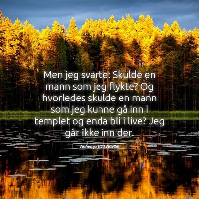 Picture 05 - Nehemja 6:11 NORSK - Men jeg svarte: Skulde en mann som jeg flykte? Og - Bible Verse Picture