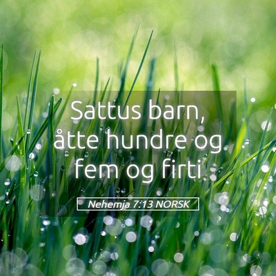 Picture 05 - Nehemja 7:13 NORSK - Sattus barn, åtte hundre og fem og - Bible Verse Picture