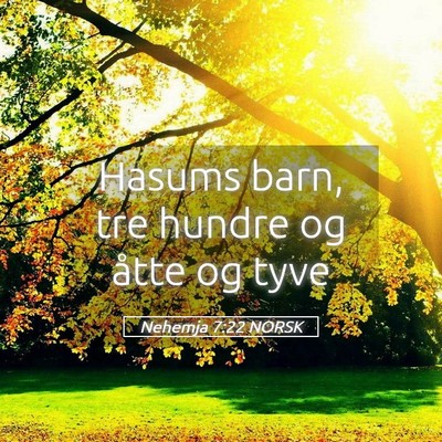 Picture 05 - Nehemja 7:22 NORSK - Hasums barn, tre hundre og åtte og - Bible Verse Picture