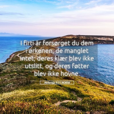 Picture 05 - Nehemja 9:21 NORSK - I firti år forsørget du dem i ørkenen, de - Bible Verse Picture