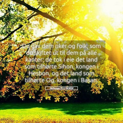 Picture 05 - Nehemja 9:22 NORSK - Du gav dem riker og folk, som du skiftet ut til - Bible Verse Picture