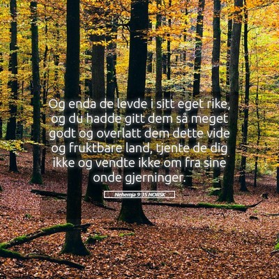 Picture 05 - Nehemja 9:35 NORSK - Og enda de levde i sitt eget rike, og du hadde - Bible Verse Picture