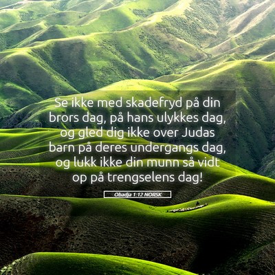 Picture 05 - Obadja 1:12 NORSK - Se ikke med skadefryd på din brors dag, på hans - Bible Verse Picture